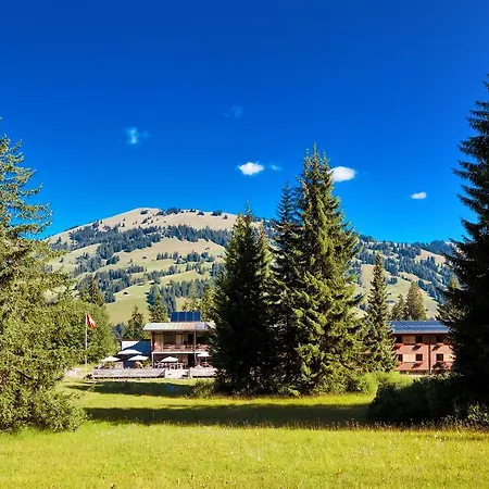 Saanewald Hotel 3*