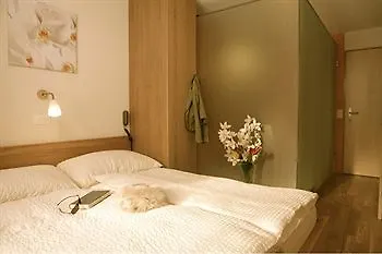 Hotel Saanewald Saanenmoser