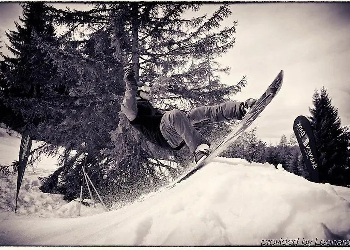 Hotel Saanewald Saanenmöser