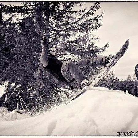 Hotel Saanewald Saanenmöser