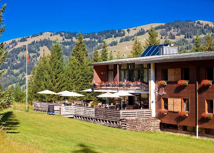 Saanewald 3* Saanenmöser