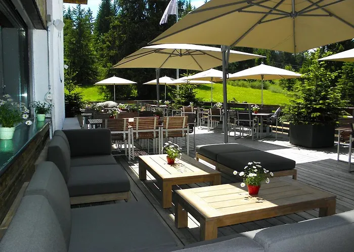 Saanewald Saanenmöser